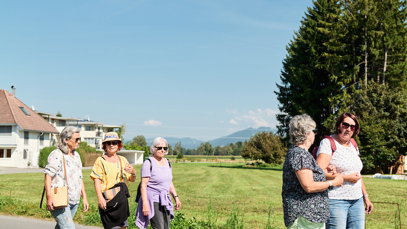 Geh mit Spaziergänge (5) Geh mit Spaziergänge (5)