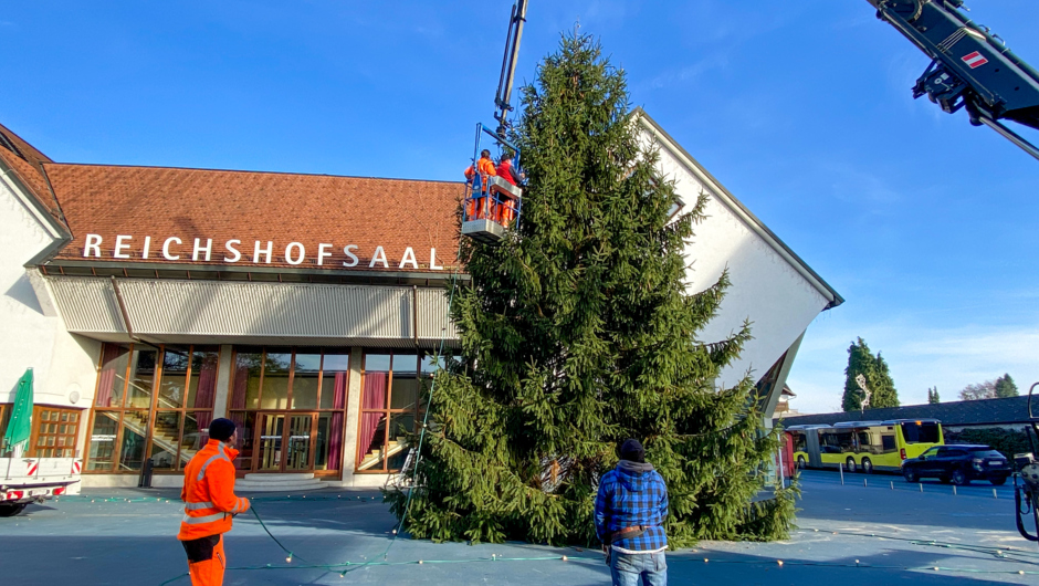 christbaum 2021-04 christbaum 2021-04