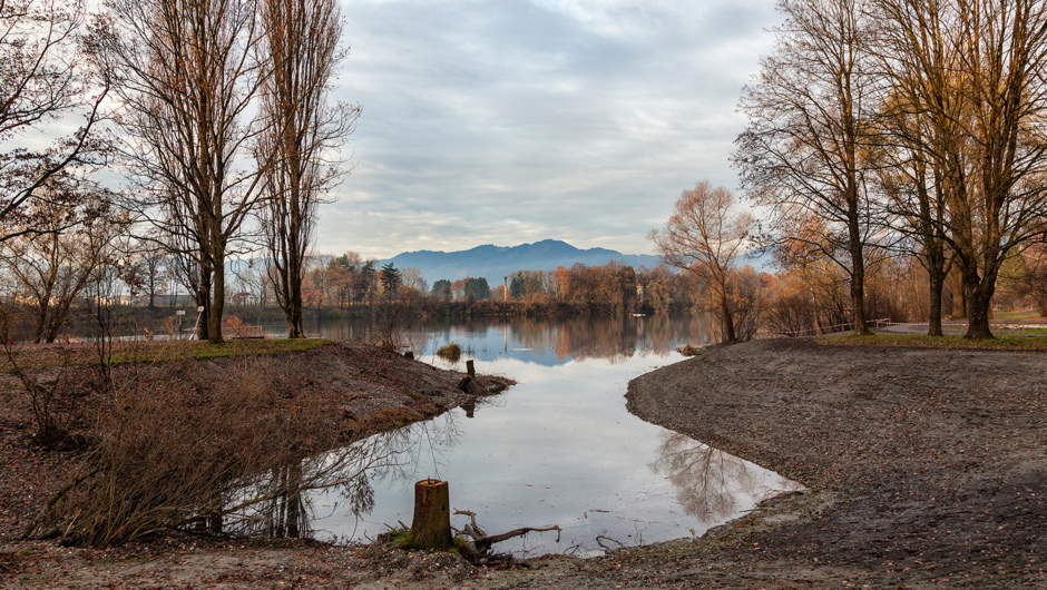 _MG_4773 _MG_4773