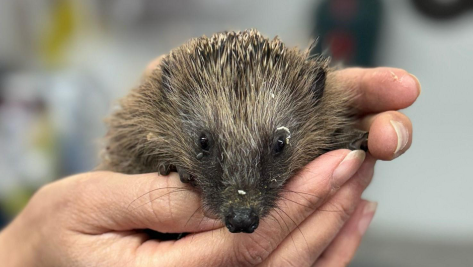 20260121_110017975_iOS