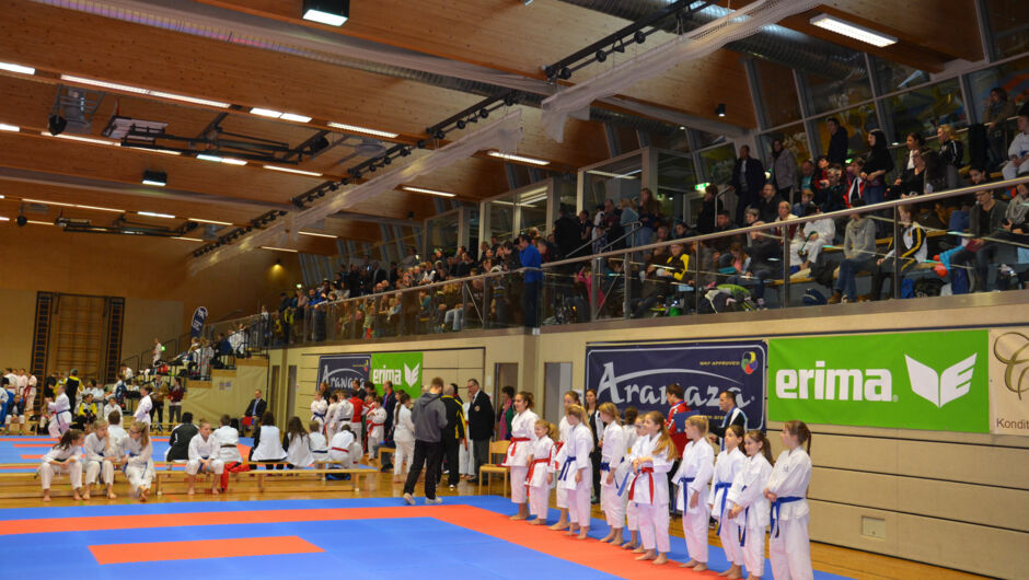 karate-lions-cup-2016--6-.jpg