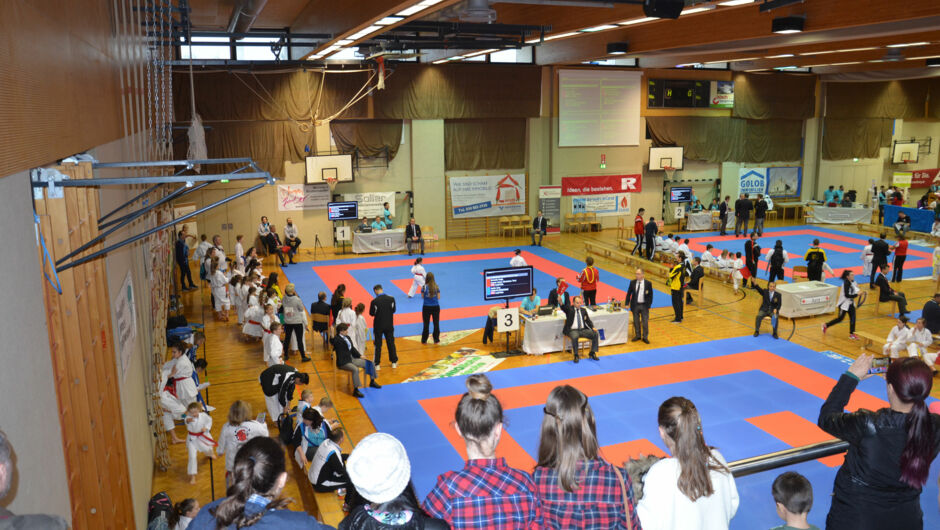 Karate-Lions-Cup-2016-(56)