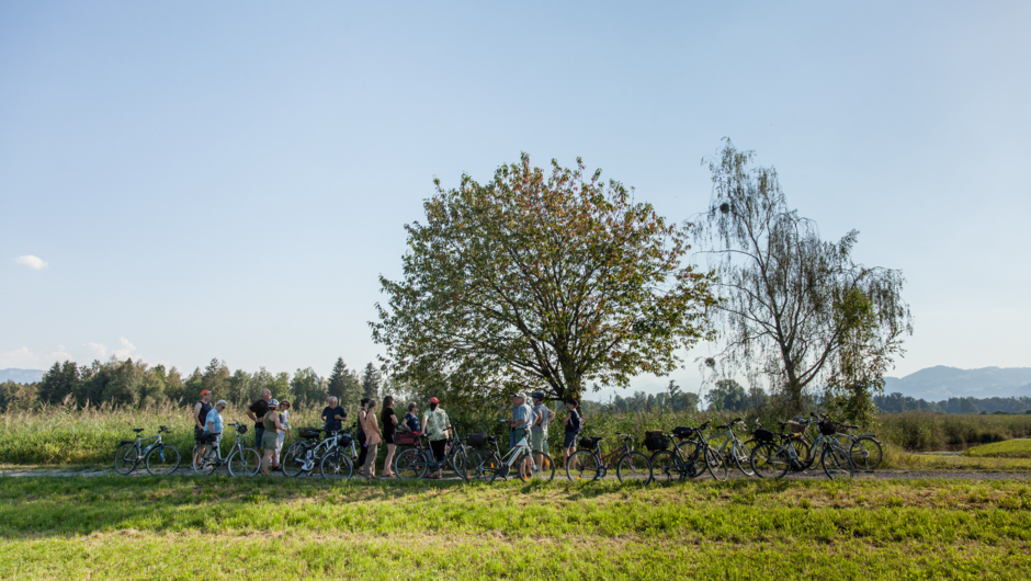 Riedausfahrt_Festivelo-1_Christian Grass (41) Riedausfahrt_Festivelo-1_Christian Grass (41)