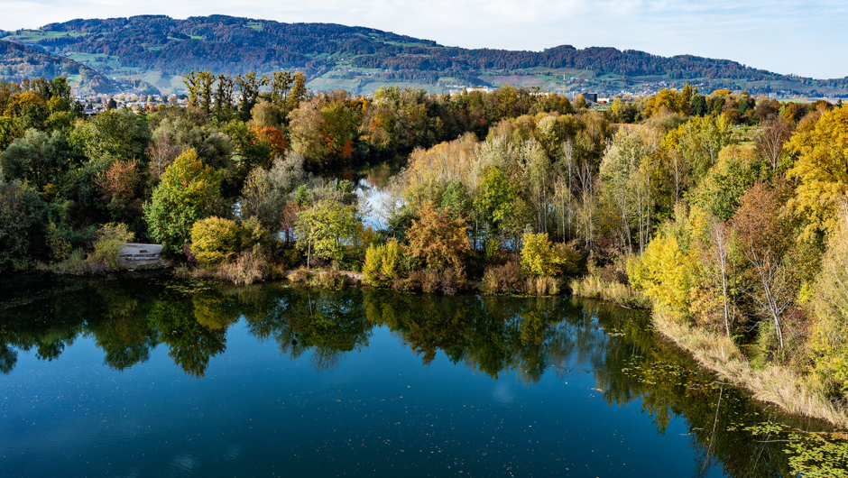 Alter Rhein Herbst