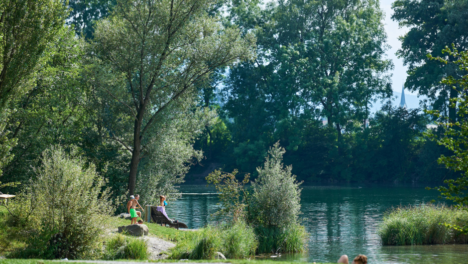 Alter Rhein Sommer