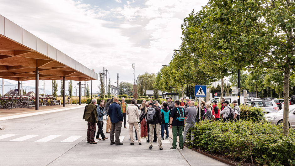 Spaziergäng Auer Ried_©Lukas Hämmerle (34) Spaziergäng Auer Ried_©Lukas Hämmerle (34)