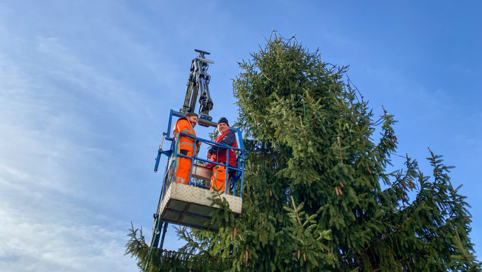 christbaum 2021-01 christbaum 2021-01