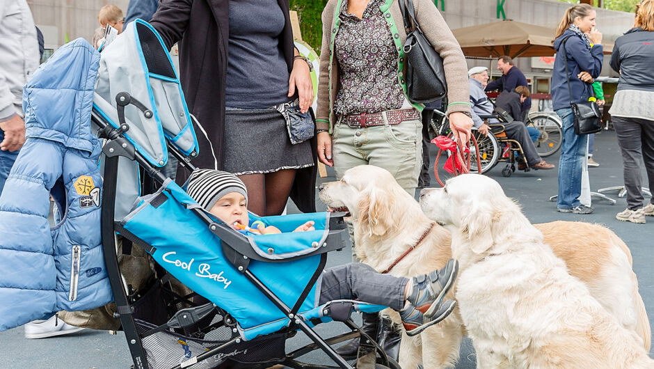 Mobilmarkt 19.09.2015 Lukas Hämmerle 61