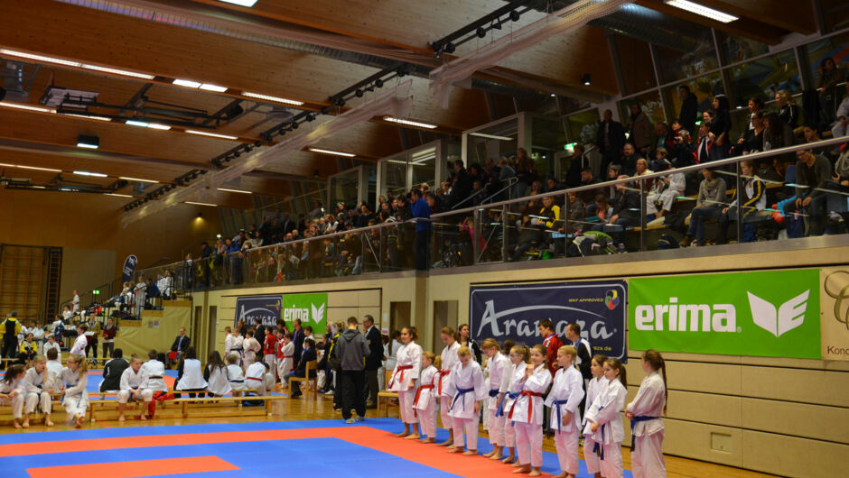 karate-lions-cup-2016--7-.jpg