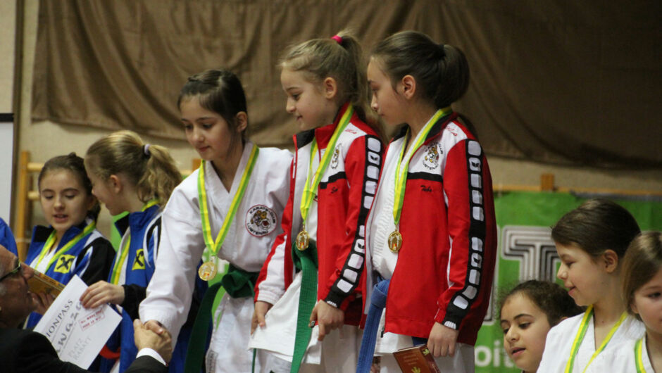 Karate-Lions-Cup-2016-(87)