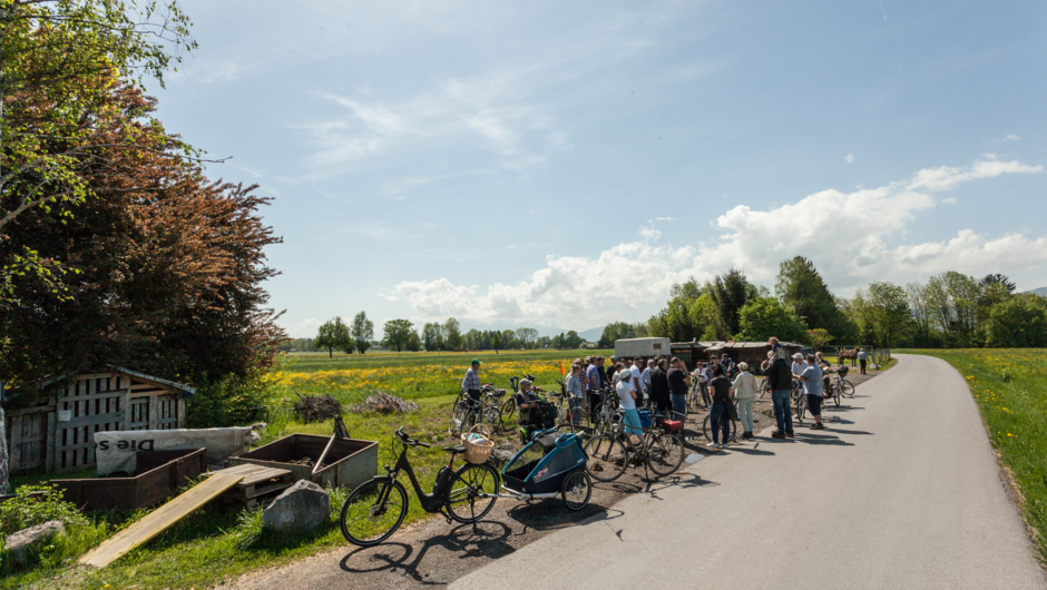 LEK Wahrnehmungsfahrt Ried April 2018_print (44) LEK Wahrnehmungsfahrt Ried April 2018_print (44)