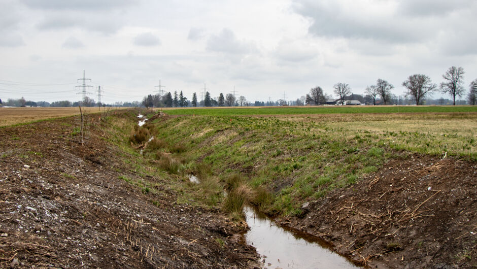 Landgraben_Renaturierung_4