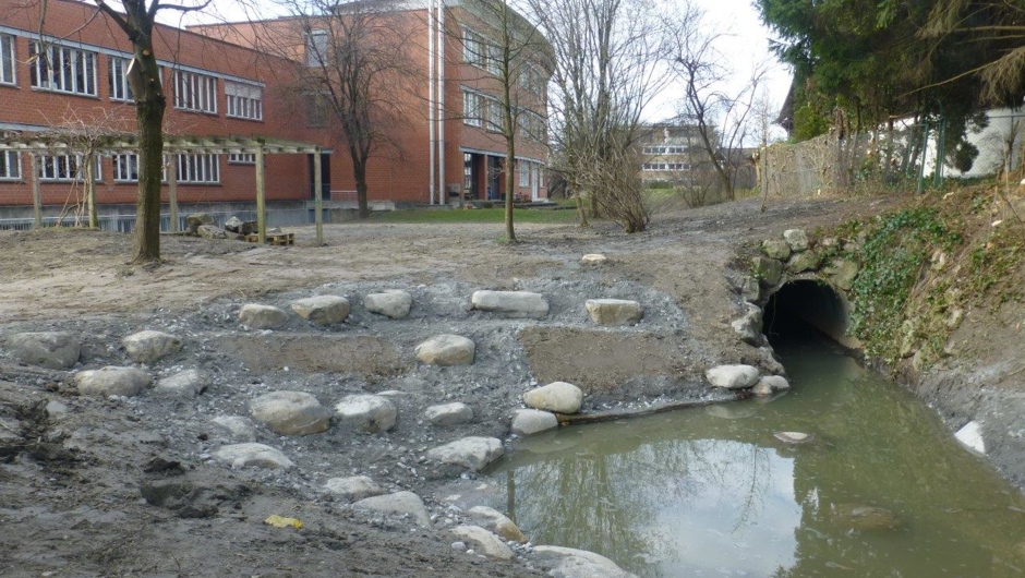 Schulgarten MS Hasenfeld Schulgarten MS Hasenfeld