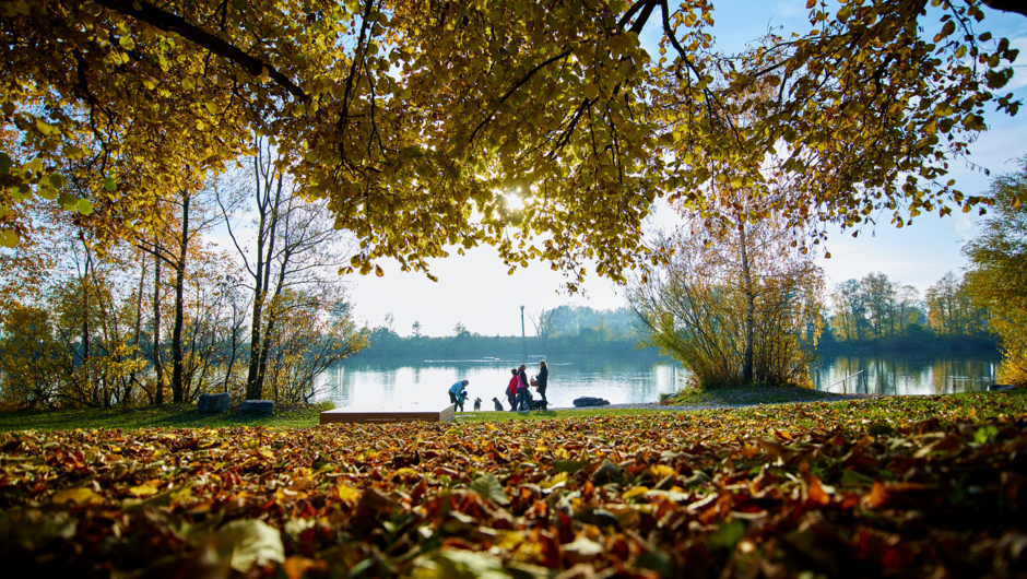 Alter Rhein Herbst