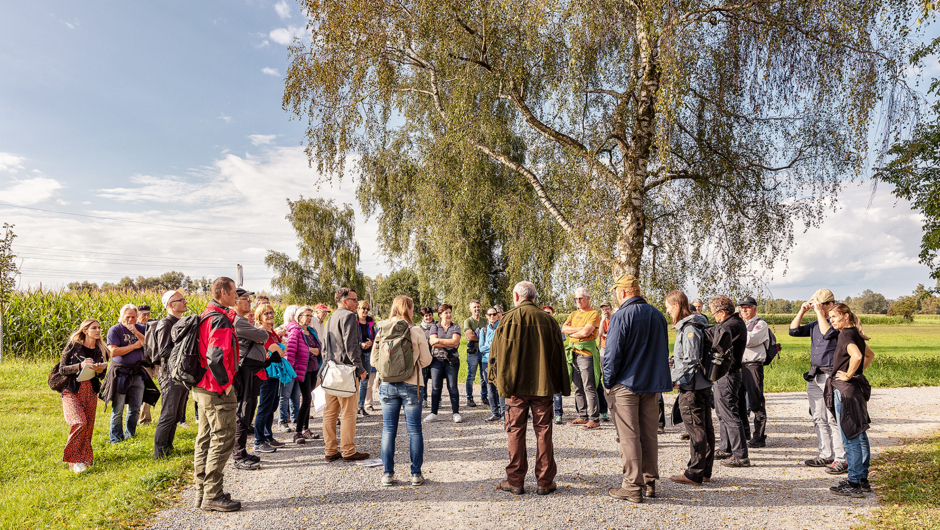 Spaziergäng Auer Ried_©Lukas Hämmerle (45) Spaziergäng Auer Ried_©Lukas Hämmerle (45)