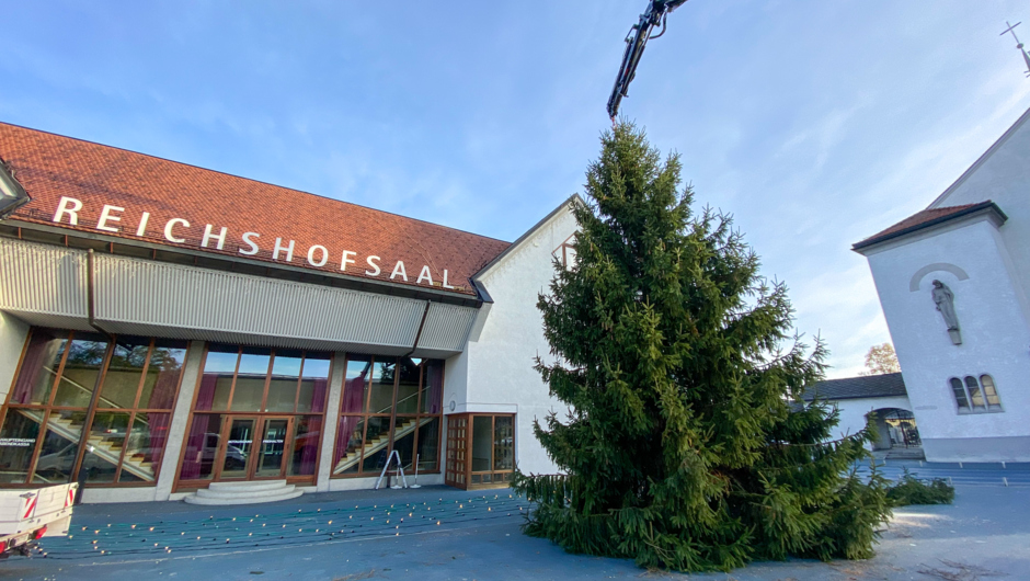 christbaum 2021-19 christbaum 2021-19