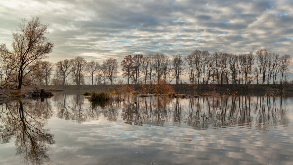 _MG_4764 _MG_4764