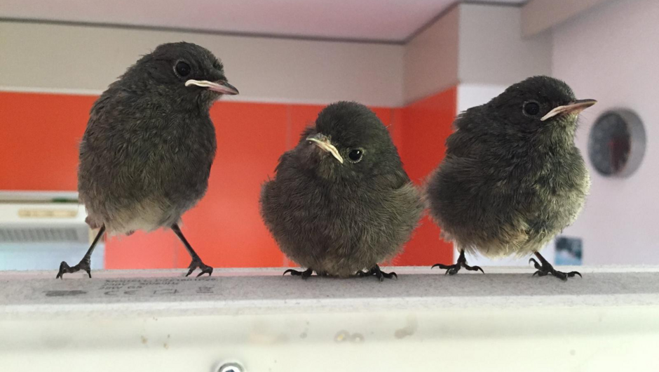 20260121_105853041_iOS